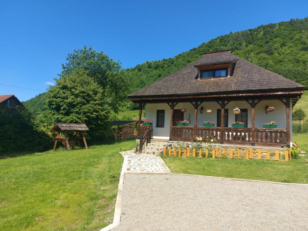 Casuta Din Rusca Villa Sebesu de Jos Luaran gambar