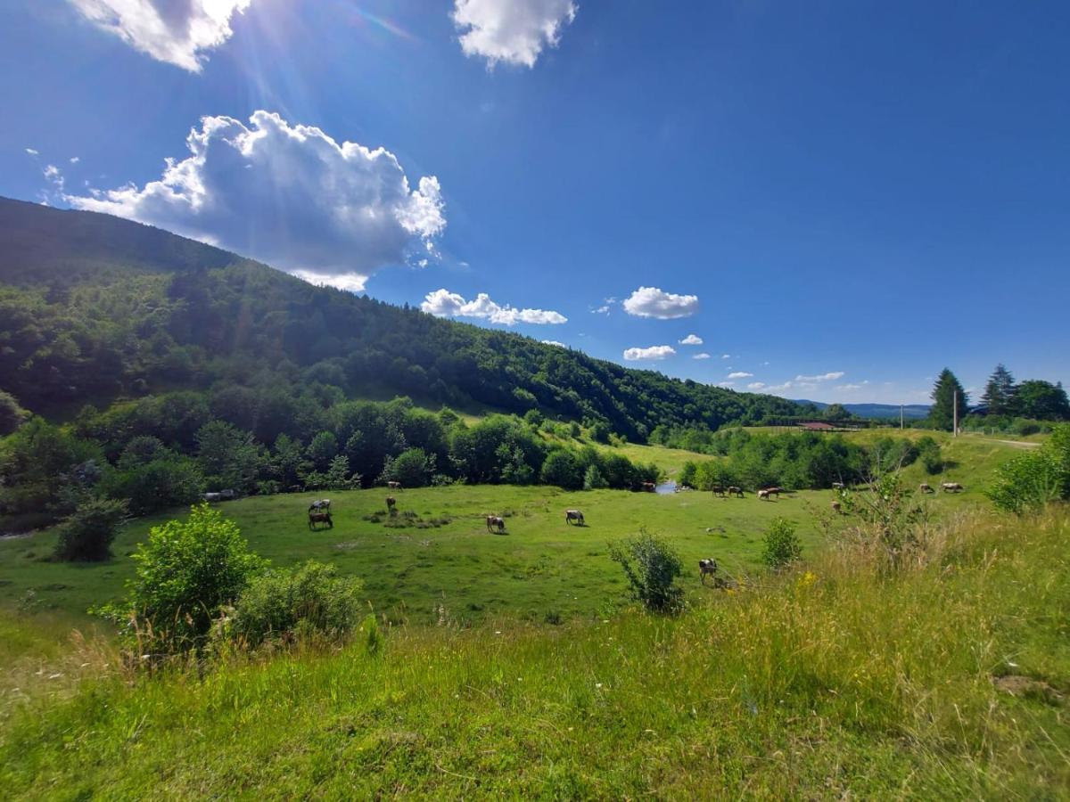 Casuta Din Rusca Villa Sebesu de Jos Luaran gambar