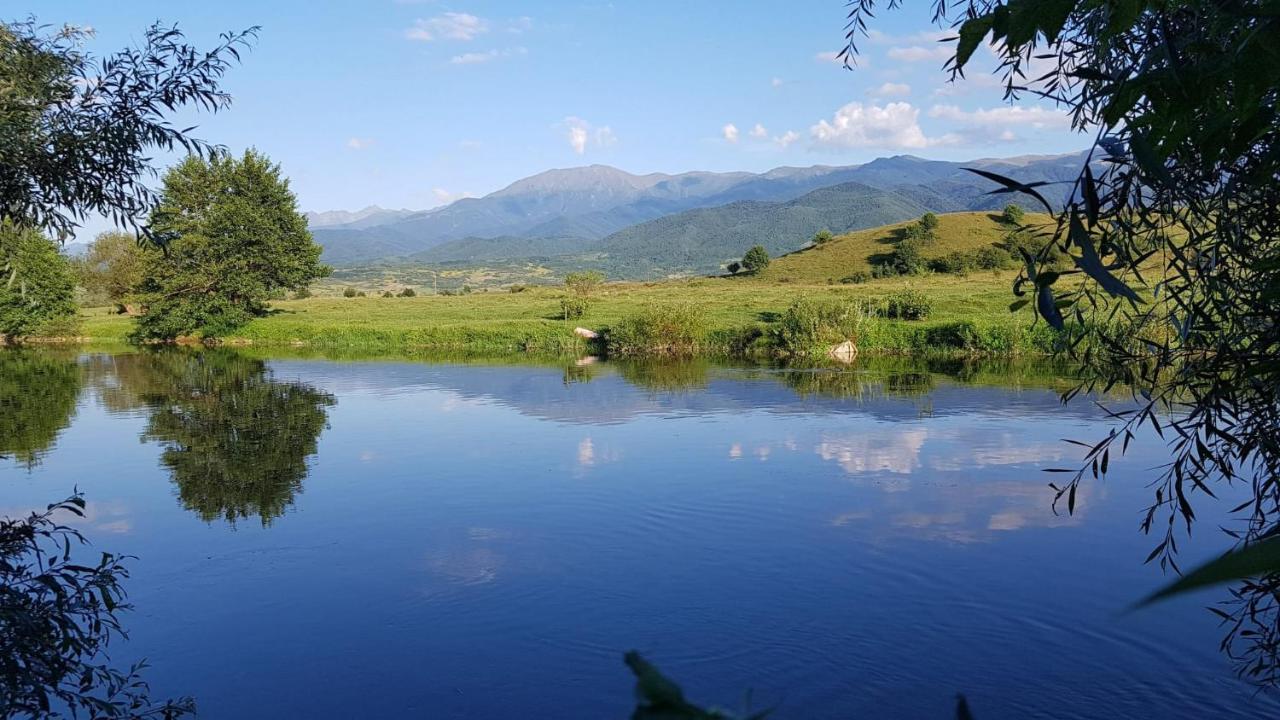 Casuta Din Rusca Villa Sebesu de Jos Luaran gambar