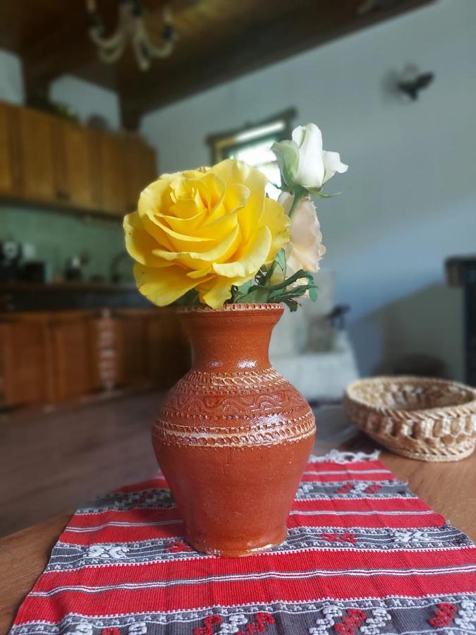 Casuta Din Rusca Villa Sebesu de Jos Luaran gambar