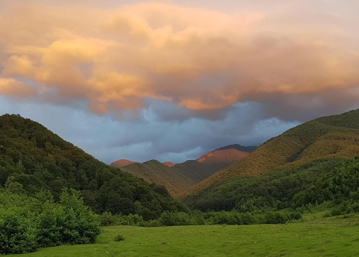 Casuta Din Rusca Villa Sebesu de Jos Luaran gambar
