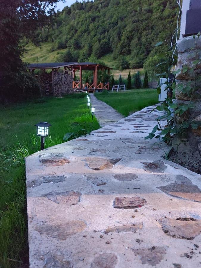 Casuta Din Rusca Villa Sebesu de Jos Luaran gambar