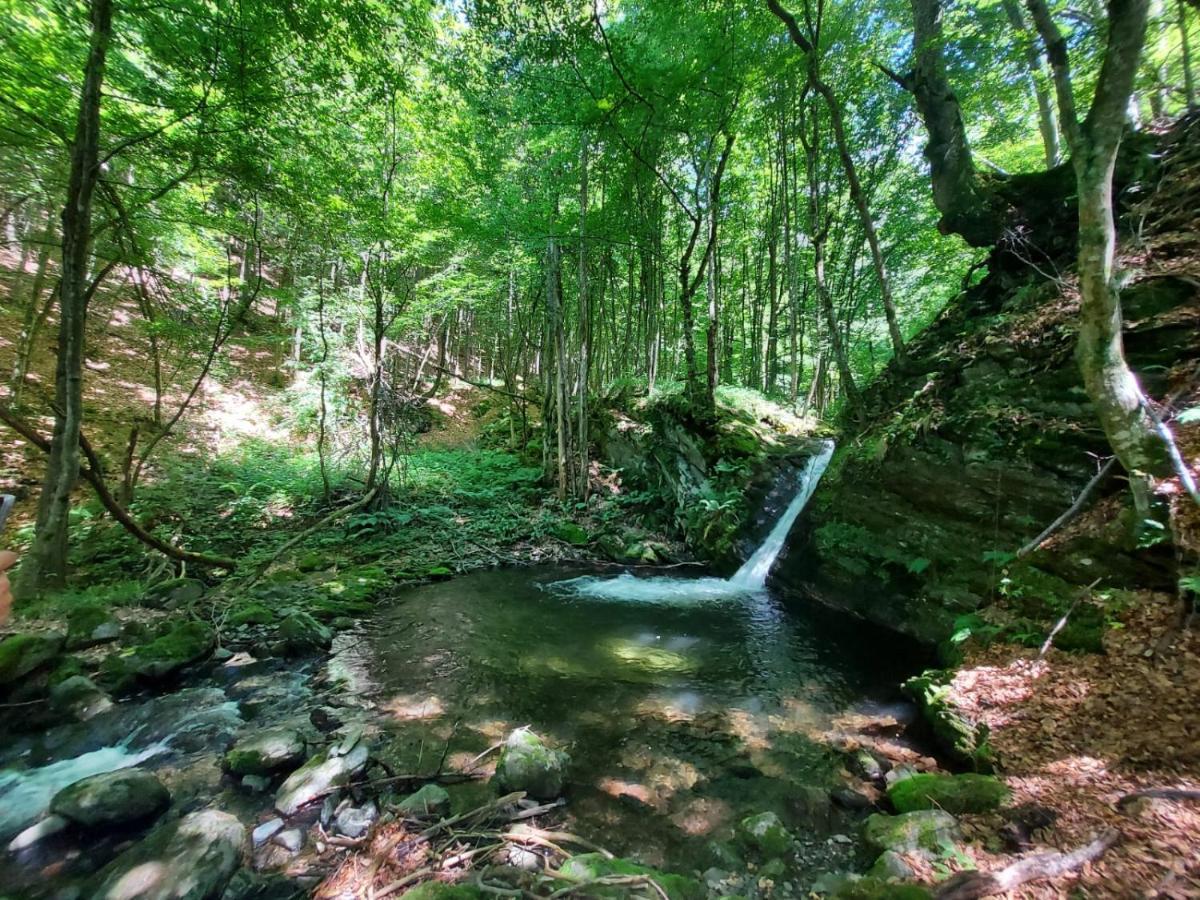 Casuta Din Rusca Villa Sebesu de Jos Luaran gambar