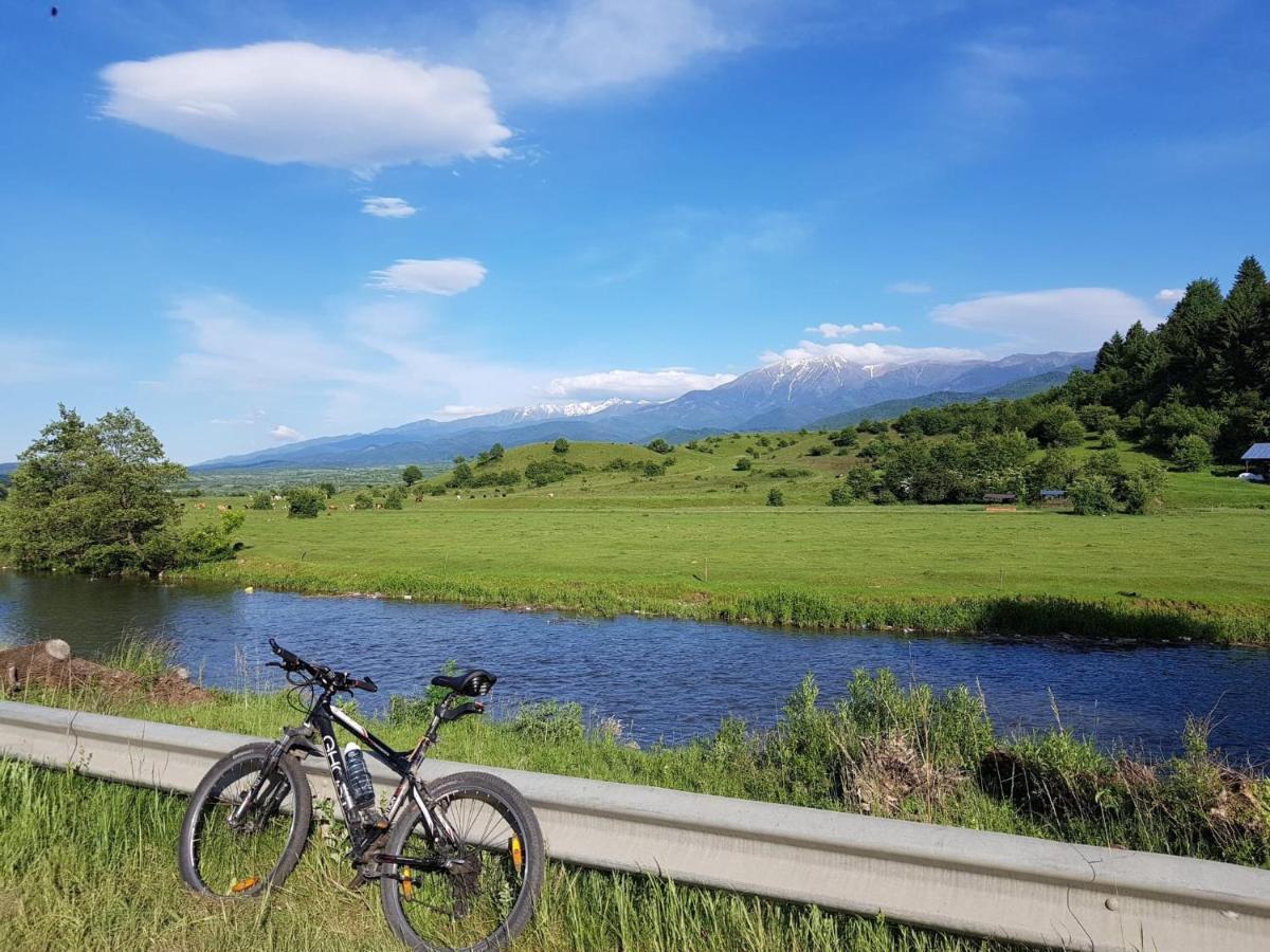 Casuta Din Rusca Villa Sebesu de Jos Luaran gambar